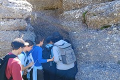 02afe605-0a5d-4ba8-ade5-aa0f439786ce