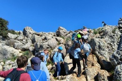 033a675d-8950-4e0e-babb-398c24a82a9f