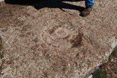 17edb3bd-5663-4d0f-b601-709f8eba85a1