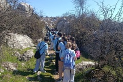 18b97ea6-8784-4a12-8651-d464be76d369