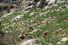 21737322-b643-4756-b2ef-f461fc6c7fd2