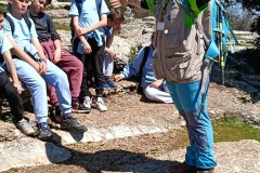 25bc3204-ceec-4361-914d-d1e132d5fd5d