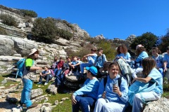 38e2b6f6-598d-4b12-bb31-936453d77ddf