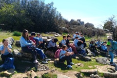 3da0c1f9-ba5f-4f08-afff-9e57d5e79b9e