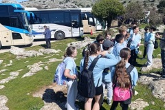 3e7dc553-ec40-457d-a96a-a46cd608b03d