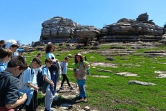 507cdf1f-91a2-4030-b2dc-3be729f76734