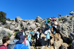 58ff4355-147a-4387-81f8-daa46b911bf3