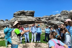 7de6deb6-09f2-408b-8d70-72c3512a301b