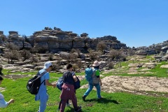 7f8d06df-834a-4411-9234-4daa09360780