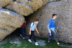 8cbd3403-c614-4ad0-85b3-2f4dcea4299e