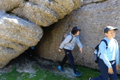 8ed0c473-0443-4d92-b855-df01ecc9c554