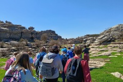 9500fab3-55b0-494f-b20f-1e7217388acf