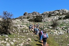 97967968-bb96-4fc7-bb09-42a2a3201a43