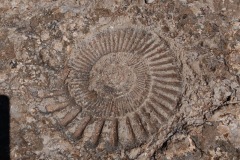 a663f36c-cc01-4450-94d1-385981d092d9