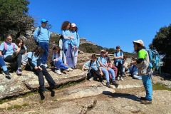 cb1332cf-4275-4480-9776-96eed152bcfe