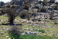 d4dafbf2-aa96-46ce-a6f9-d98b9d5f4919