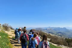 d70a58ec-6b2c-47f4-944e-f8878ccb7412