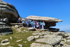 d728bae8-4af7-49b0-a65f-3bd9b0180264