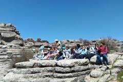 dad24b1e-6935-4539-9ea5-1cf9b645d96a