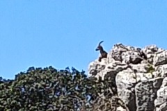 ddcadfb6-ae0a-40b6-9317-540135cbcb40