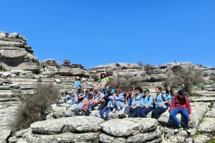 f314c39f-cb2d-46f1-9b90-c9842aa1eb32