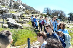 f7dc2831-bef4-4350-8ae2-7b92bb7af4c8