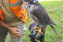 40d3814b-12b9-4f18-8d56-fcc247009483