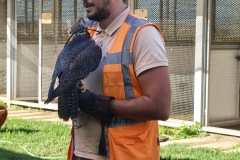 819f6272-bc4a-4855-b677-88eba11d85e4