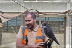 bcf40de7-6ede-4d10-ba7f-13341d681c7f