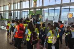 d24ab9ed-be6a-4061-b490-77f7fe670558