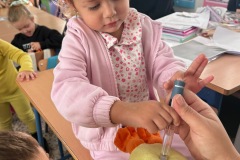 0bd210c9-763b-4839-bddf-42e5cb65811b