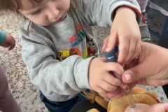 558505ff-d0bf-4063-9c1c-5184493bd280