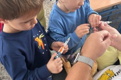 92c55aa3-8bbf-4ec4-9358-8a2e612388bc