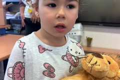 c2b5606e-29d2-4ade-83f0-1471bf2b7fb2