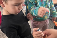 ee0f50d9-f7a6-4619-bcfb-cb1487ed143a