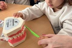 1cc3601c-4a30-4409-8eaa-5fb4259fc0a3