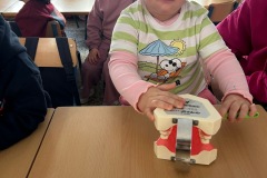 260e59c2-01ad-47fd-918c-1d24be7433ab