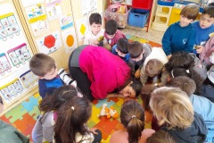 5938d272-84de-48da-87d1-a4463636acd4