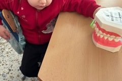 fcdbacb6-541c-4041-bb21-2173d1ff997f