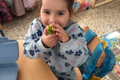 1161fab3-cb68-40b5-9931-047ab8c96446