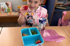 243e69bd-be0d-4dc4-a4ea-4e780ca11b61