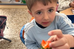 c53cbf12-f09c-4780-9faa-ef617821e269