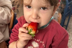 eb9c63f9-2d15-43cb-9e06-c962a63dbf80