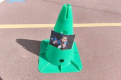 IMG_20260312_120515_1