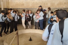 02bc8b52-0679-4262-8de7-eb1cc5da5b9a