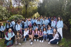 5319c2d4-3250-4a6c-aecc-1a72d2dba4b4