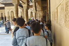 71056dc9-9213-48e7-983e-7e77022d3ad8