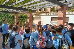 75f3ec43-fde1-4f3b-8183-a74ee61d1208