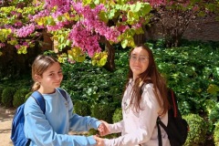 8c4d5265-83b0-414d-af61-6199d4753060