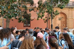 b117e6a3-1c36-4151-80e1-d06ca19b8d21